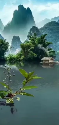 Water Plant Mountain Live Wallpaper