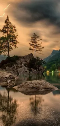 This nature-themed live wallpaper for your phone features a beautiful tree sitting atop a rock next to a reflective water body