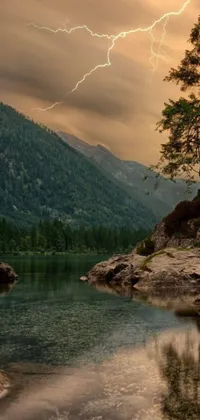 This phone live wallpaper showcases a picturesque tree on a rock by a lake, with amazing lighting effects