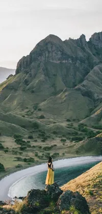 This delightful live wallpaper depicts a picturesque coastal cliffs landscape