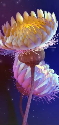 Bring the beauty of nature to the palm of your hand with this stunning flower live wallpaper