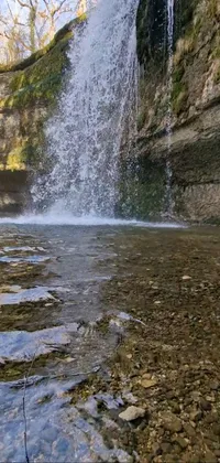 This phone live wallpaper depicts a stunning waterfall flowing into a clear creek bed, viewed from below