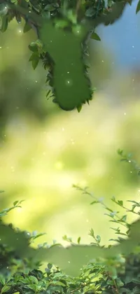 This stunning phone live wallpaper showcases a heart-shaped hole in a lush green bush