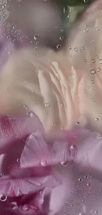 Enhance the aesthetic of your phone screen with a mesmerizing live wallpaper featuring beautiful flowers