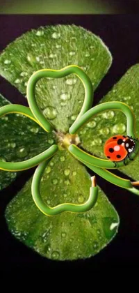 This lively phone live wallpaper features a cute and colorful ladybug sitting on top of a lush green leaf amidst a backdrop filled with lucky clovers