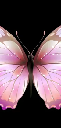 Adorn your phone with the stunning vector art of a butterfly, showcased in a close-up shot with a black background