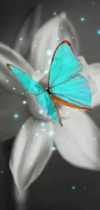 This live phone wallpaper showcases a digital art blue butterfly resting serenely on a white tulip
