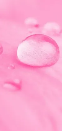 This live wallpaper showcases a pink flower covered in water droplets in a minimalistic cotton candy style