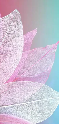 This phone live wallpaper features a stunning pink flower set against a calming blue background