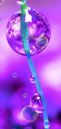 Water Plant Pink Live Wallpaper