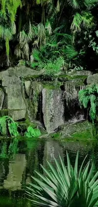 Transform your phone screen into a serene, natural oasis with a stunning live wallpaper that features a breathtaking waterfall amid lush greenery