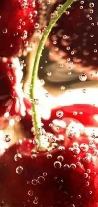This live phone wallpaper features a stunning close-up of juicy cherries in crystal-clear water