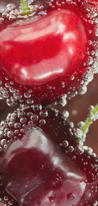 Water Plant Red Live Wallpaper