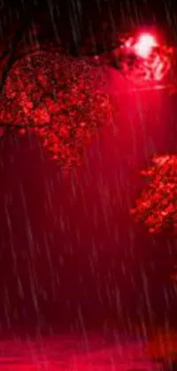 Water Plant Red Live Wallpaper