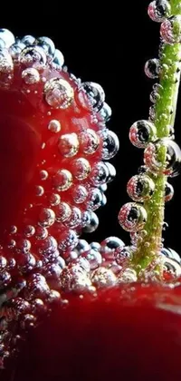 This stunning phone live wallpaper showcases a breathtaking macro photograph of two cherries submerged in bubbles