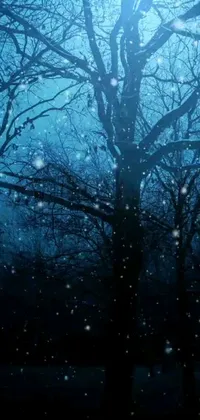 Transform your phone's screen into a peaceful and enchanting moonlit forest with this stunning live wallpaper