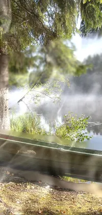 song of the South Live Wallpaper - free download