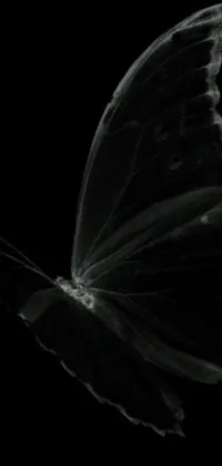 This live wallpaper showcases a captivating black and white photograph of a butterfly, framed within a glittering glass apple in a dark, moody setting