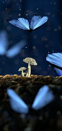This phone live wallpaper features a group of blue butterflies gracefully flying around a mushroom