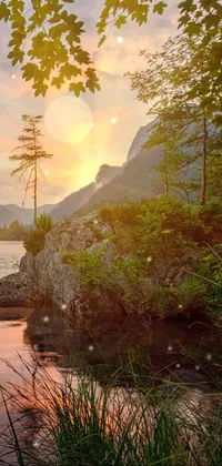 Looking for a beautiful live wallpaper for your phone? This stunning image from stock photo site features a large body of water surrounded by lush trees, creating a serene and peaceful atmosphere