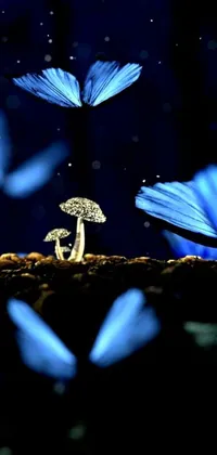 Experience a magical wonderland with this stunning phone live wallpaper! Transform your screen into a breathtaking macro photograph of a mushroom surrounded by charming blue butterflies