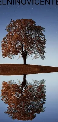 This live wallpaper showcases an exquisite oak tree in a serene body of water