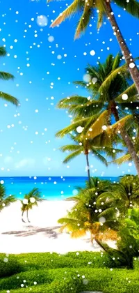 Looking for a beautiful high-end live wallpaper for your phone? Look no further than this stunning beach paradise wallpaper featuring palm trees and a crystal-clear ocean in the background