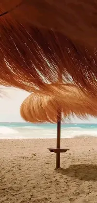This phone live wallpaper captures a tranquil moment on a sandy beach with two umbrellas providing shades