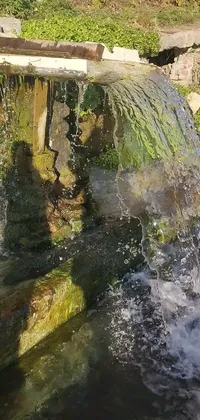 This live wallpaper depicts a stunning waterfall in afternoon sunshine