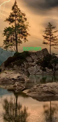 This phone live wallpaper showcases a serene forest scene in the evening by a romanticism master