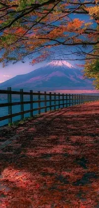 This live wallpaper showcases a captivating scene of a dirt road with a wooden fence alongside, leading to a picturesque mountain background