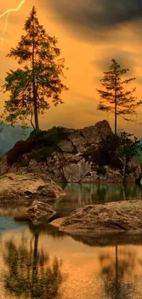 This phone live wallpaper features a beautiful tree perched atop a rocky outcropping next to a peaceful body of water
