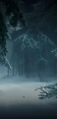 Transform your phone's background into a magical and serene forest with this live wallpaper