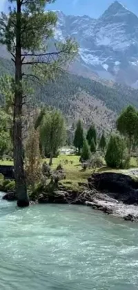 Enhance the look of your phone screen with this stunning live wallpaper - a picturesque river flowing with imposing mountains in the background, surrounded by lush trees