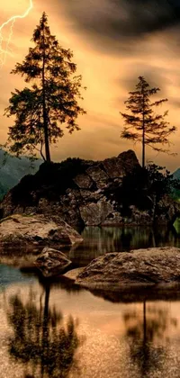 This stunning phone live wallpaper showcases a serene forest at evening, with a towering tree perched atop a rocky outcrop overlooking a calm body of water
