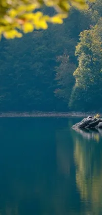 This blue tonalism live wallpaper for mobile features a peaceful lake in an autumn forest