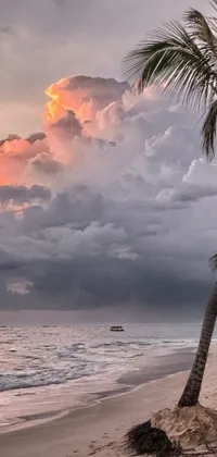 This live wallpaper depicts palm trees on a sandy beach surrounded by stormy clouds and waves