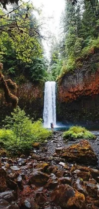 This mesmerizing live wallpaper transports you to a stunning Oregon waterfall scene surrounded by blooming pink and white flowers