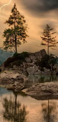 This phone live wallpaper features a stunning tree sitting atop a rock on the edge of a peaceful body of water