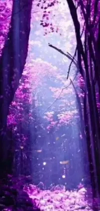 This phone live wallpaper features a captivating forest scene with purple tones and numerous trees