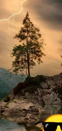 This stunning phone live wallpaper showcases a striking emo-style landscape captured by a talented photographer