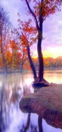 This HD phone live wallpaper showcases a magnificent tree standing next to a peaceful water body