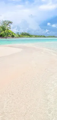 Immerse yourself in the tranquility of a sunny shore with this stunning live phone wallpaper