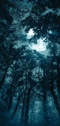 Experience the mystique of the outdoors with our stunning live wallpaper of a dark and brooding forest filled with tall trees all around you