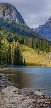 This beautiful live wallpaper is perfect for nature lovers who want a serene depiction of a still body of water surrounded by trees and mountains in Banff National Park