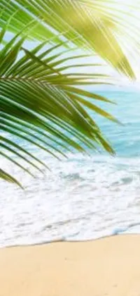 Introducing a stunning phone live wallpaper featuring two umbrellas resting on a sandy beach
