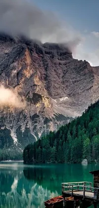 This phone live wallpaper showcases a serene forest clearing in Italy