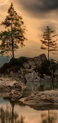 This phone live wallpaper features a captivating image of a tree on top of a rock near a serene body of water