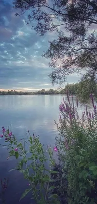 This live wallpaper features a serene body of water surrounded by trees and low hanging plants, in a picturesque setting under a cloudy sky at gentle dawn blue light