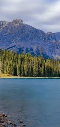 This live wallpaper showcases a striking landscape featuring a mountain range, body of water, trees, and cliffs